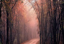 PG电子试玩-赖斯英超争冠接管比赛，如瑞士速胜里昂般精准高效