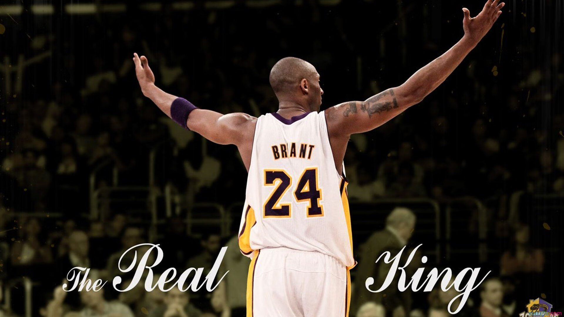 赛道上的孤勇者，汉密尔顿扛起梅赛德斯，以坚韧意志完胜法拉利