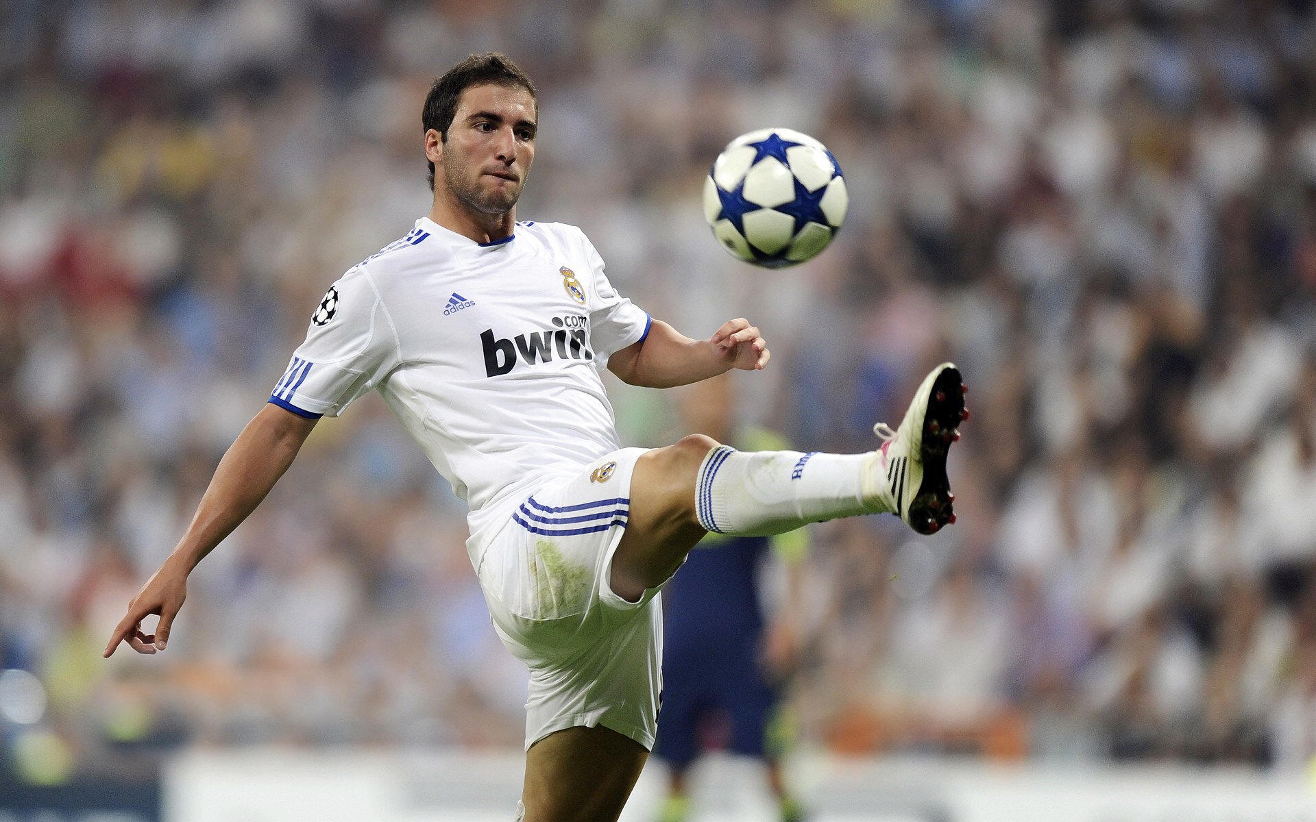 破冰北欧，樊振东神勇定乾坤，中国队完胜瑞典开启新征途